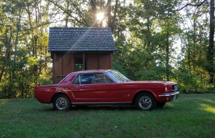 Tessie's 1966 Ford Mustang